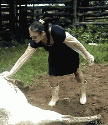 Films en series Jurassic park Gifs 