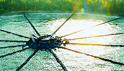 Jennifer Lawrence GIF. Gifs Filmsterren Jennifer lawrence Hunger games Katniss 