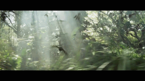 The hunger games vrienden Gifs Filmsterren Jennifer lawrence katniss fandom fandoms 