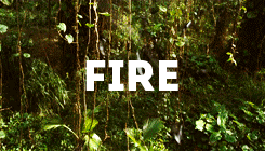 Jennifer Lawrence GIF. The hunger games Omhelzing Gifs Filmsterren Jennifer lawrence Katniss Peeta Josh hutcherson 