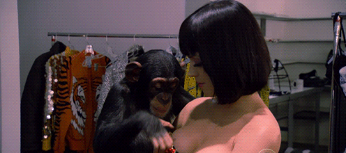 Artiesten Katy perry Gifs tieten aap 