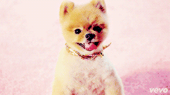 Katy Perry GIF. Grappig Beroemdheden Artiesten Katy perry Gifs Reacties Durr 