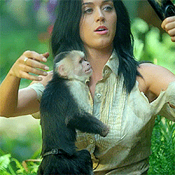 Artiesten Katy perry Gifs katy perry gif prisma unconditionally 
