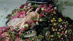 Katy Perry GIF. Artiesten Suikerspin Katy perry Gifs 