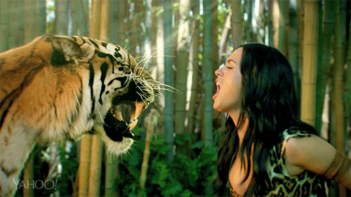 Beroemdheden Artiesten Katy perry Gifs Snoop dogg California Gurls 