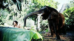 Katy Perry GIF. Artiesten Katy perry Gifs Roar Katy perry gebrul 