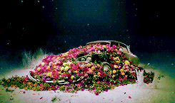 Katy Perry GIF. Artiesten Katy perry Gifs Roar Katy perry gebrul 