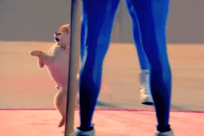 Artiesten Katy perry Gifs et mode &amp;amp; beauty 