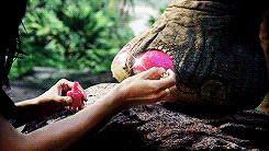 Katy Perry GIF. Bioscoop Artiesten Katy perry Gifs Hipster Muziekvideo Nerdy Slaapkamer Tgif Afgelopen vrijdag nac 