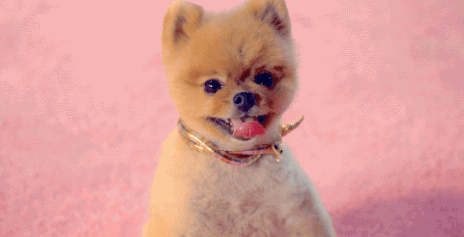 Huilen Bioscoop Pijn Artiesten Katy perry Gifs grijpen the one that got away 