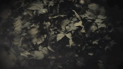 Artiesten Katy perry Gifs muziekvideo roar 