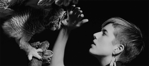 Artiesten Uil Gifs Kendrick lamar 