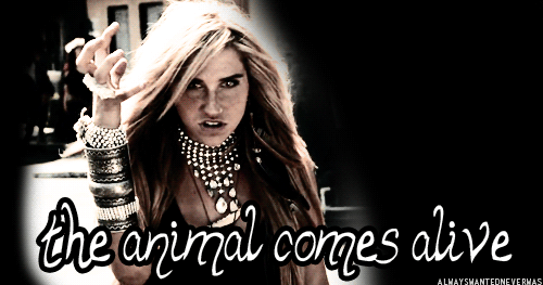 Artiesten Gifs Kesha animal Kesha steeg Sebert 