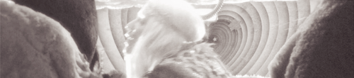 Artiesten Gifs Kesha keha kesha24hours 