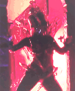 Lady Gaga GIF. Artiesten Lady gaga Babes Gifs Robert rodriguez Machete kills Machetekills October11 
