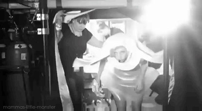 Meisje Artiesten Verjaardag Lady gaga Kinderen Gifs Stefani Germanotta 