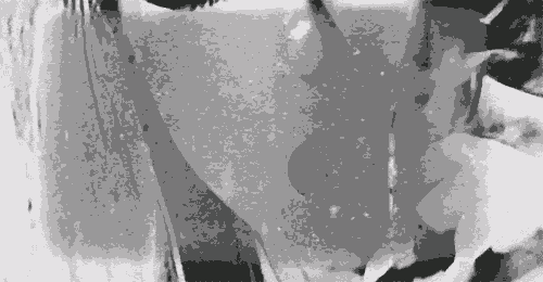 Artiesten Lady gaga Gifs een zonnebril 