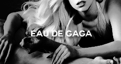 Lady Gaga GIF. Beroemdheden Artiesten Lady gaga Gifs Aura Boerka 