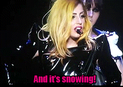 Madonna GIF. Grappig Artiesten Lady gaga Madonna Gifs Snl Figting 