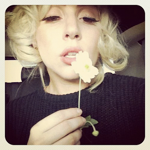 Muziek Artiesten Lady gaga Gifs knal zo geboren 