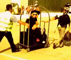 Lady Gaga GIF. Artiesten Lady gaga Gifs Snl Saturday night live 