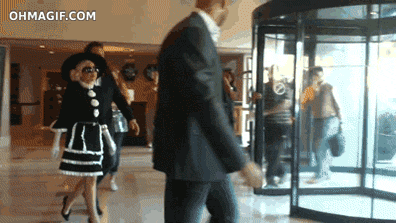 Artiesten Lady gaga Gifs snl Saturday Night Live 