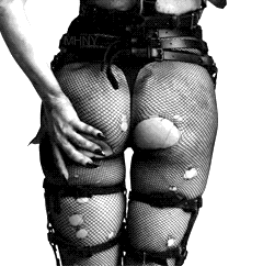 Lady Gaga GIF. Artiesten Lady gaga Gifs Oscars 2015 Geluid van de muziek 