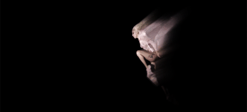 Applaus Artiesten Lady gaga Gifs gaga 