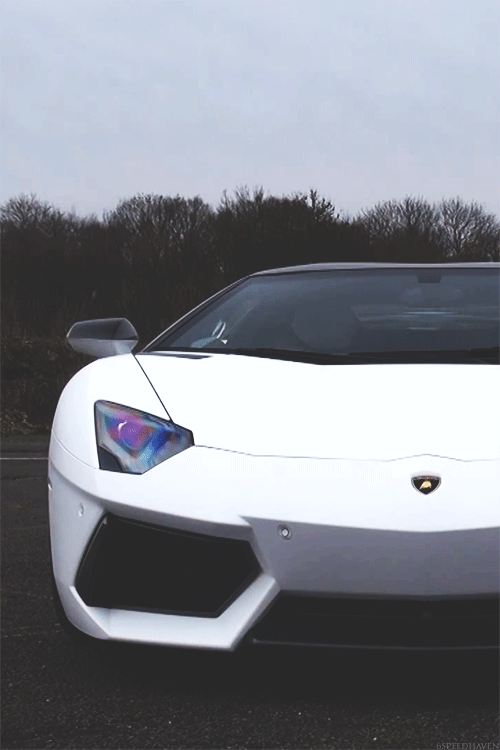 Voertuigen Lamborghini Gifs auto&amp;#39;s 