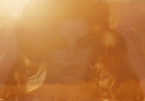 Artiesten Lana Gifs Lana del rey zwart en wit lizzy subsidie 