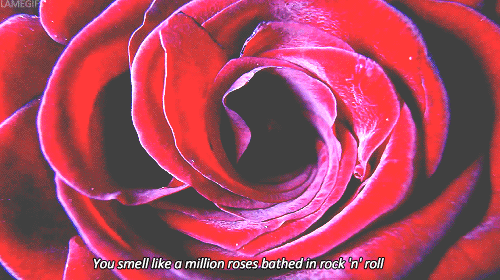 Artiesten Geweer Gifs Lana del rey muziekvideo ride 