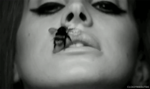 Artiesten Gifs Lana del rey katyhudsson lanagifs 