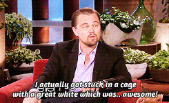 Leonardo Dicaprio GIF. Roken Leonardo dicaprio Gifs Filmsterren The great gatsby Raam 