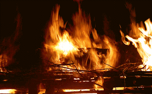 Artiesten Linkin park Gifs LPTV lp 