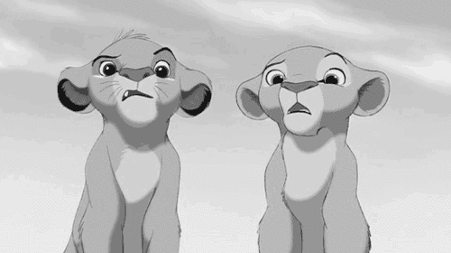Dieren Leeuw Tijger Gifs 