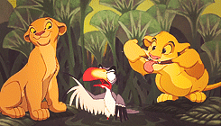 Tijger GIF. Dieren Leeuw Tijger Gifs 