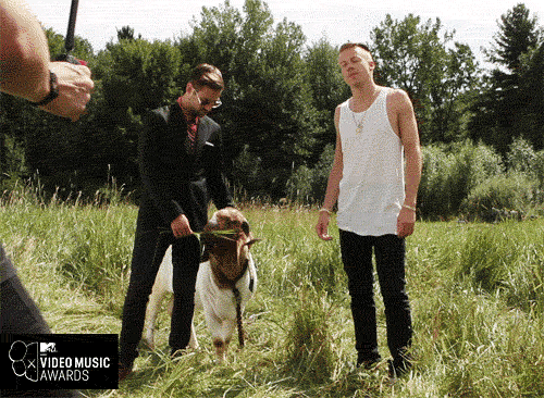 Artiesten Gifs Macklemore ben Haggerty mensen Macklemore 