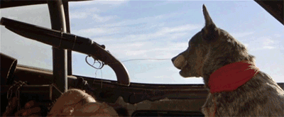 Bioscoop Films en series Gifs Mad max 