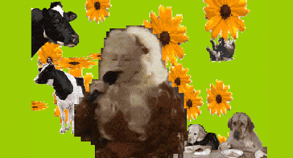 Artiesten Madonna Gifs 