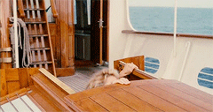 Madonna GIF. Artiesten Vogue Madonna Gifs Mtv 