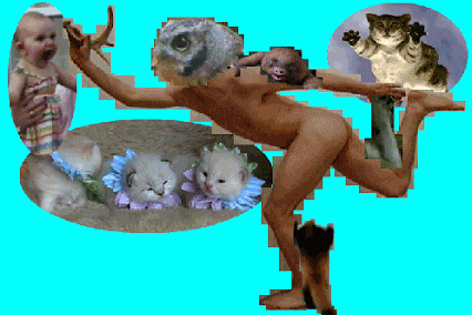 Artiesten Madonna Gifs truth or dare 