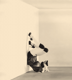 Madonna GIF. Dansen Artiesten Lady gaga Tv Madonna Gifs Snl Dement Girl gone wild Music 