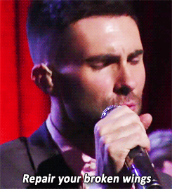 Maroon 5 GIF. Muziek Artiesten Gifs Maroon 5 