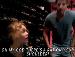 Miley Cyrus GIF. Liefde Artiesten Miley cyrus Gifs Reblog Diva Miley 23 Miley ray cyrus Orgulho 