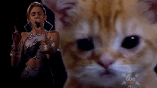 Muziek Artiesten Miley cyrus Gifs miley wrecking ball 