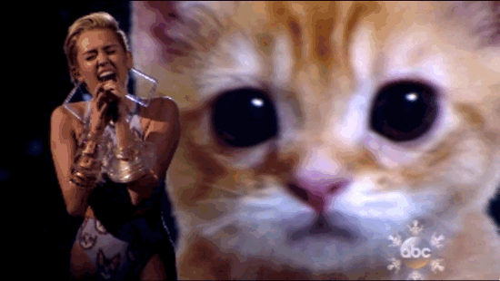 Artiesten Miley cyrus Gifs leven miley verprutsen 