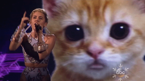 Muziek Artiesten Miley cyrus Tv Gifs katje ama American Music Awards abc 