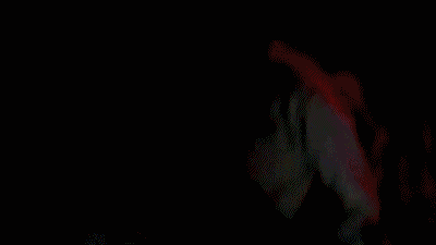 Artiesten Miley cyrus Wow Gifs verwonderd snik 