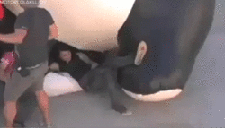 Artiesten My chemical romance Gifs band blog mcr 