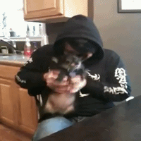 My Chemical Romance GIF. Artiesten My chemical romance Helena Gifs 